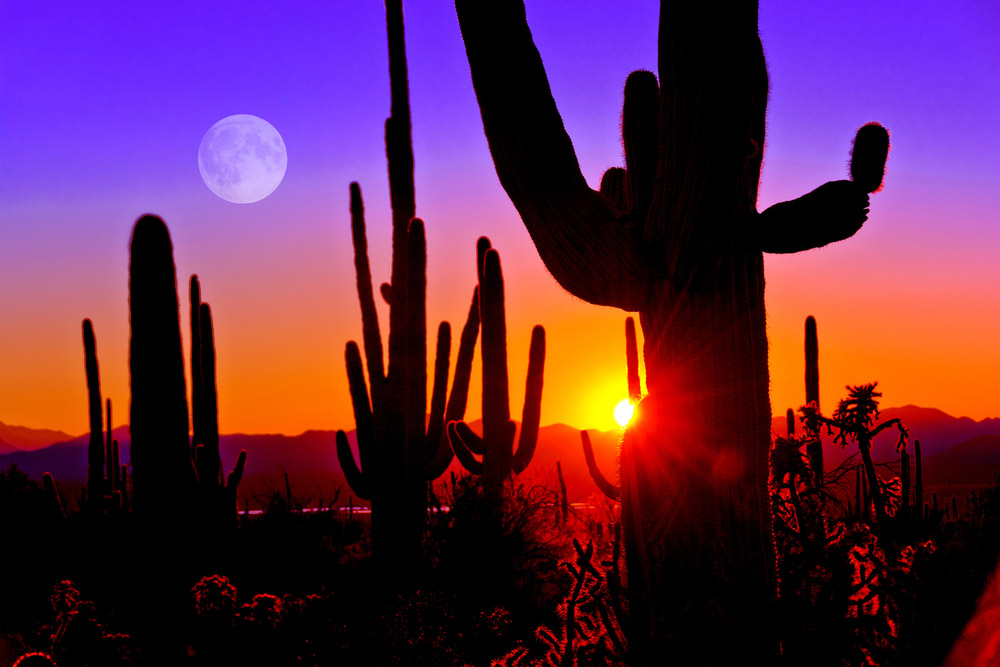 2018-Tuscon-conference